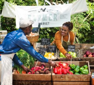 Two market managers organizing a farm stand of fresh produce